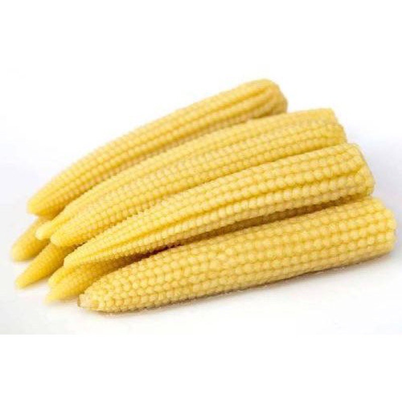 

Jagung Baby Organik 200g