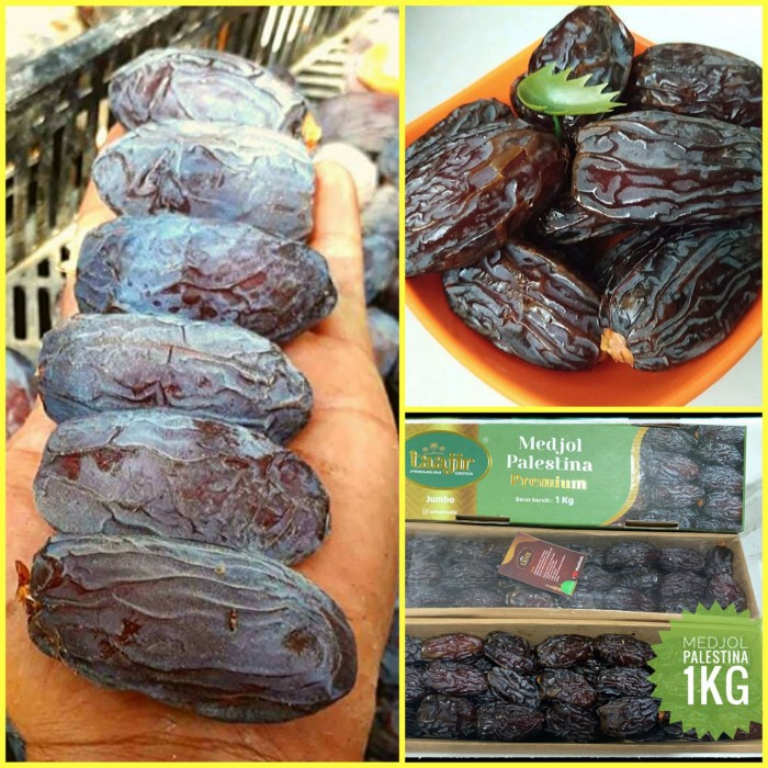 

Kurma Terbaru - Kurma Medjol Palestina Ukuran Jumbo 1Kg