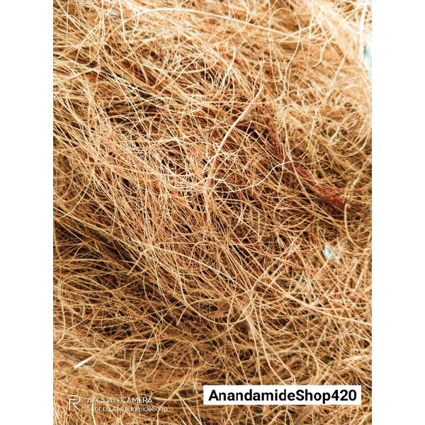 Jual Cocofiber Coconut Husk Coir Grade A 5liter Shopee Indonesia