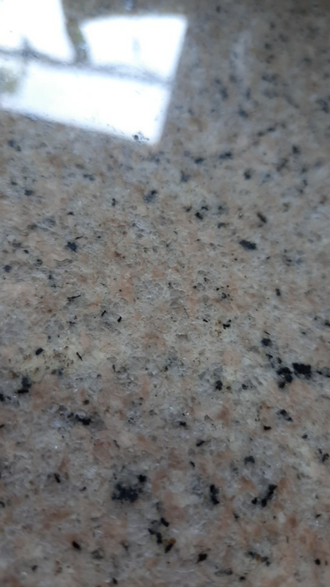 Sikat Baja Kuningan Prohex 7 Tipe 3460-700 / 7 Inch Bentuk Sikat Gigi Murah Bagus