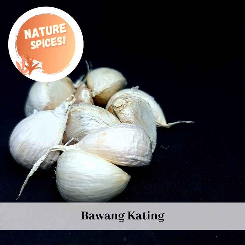 

bawang kating 250 gr
