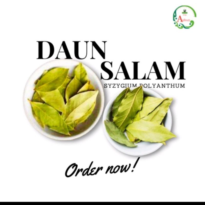 

daun salam kering jamu adypati