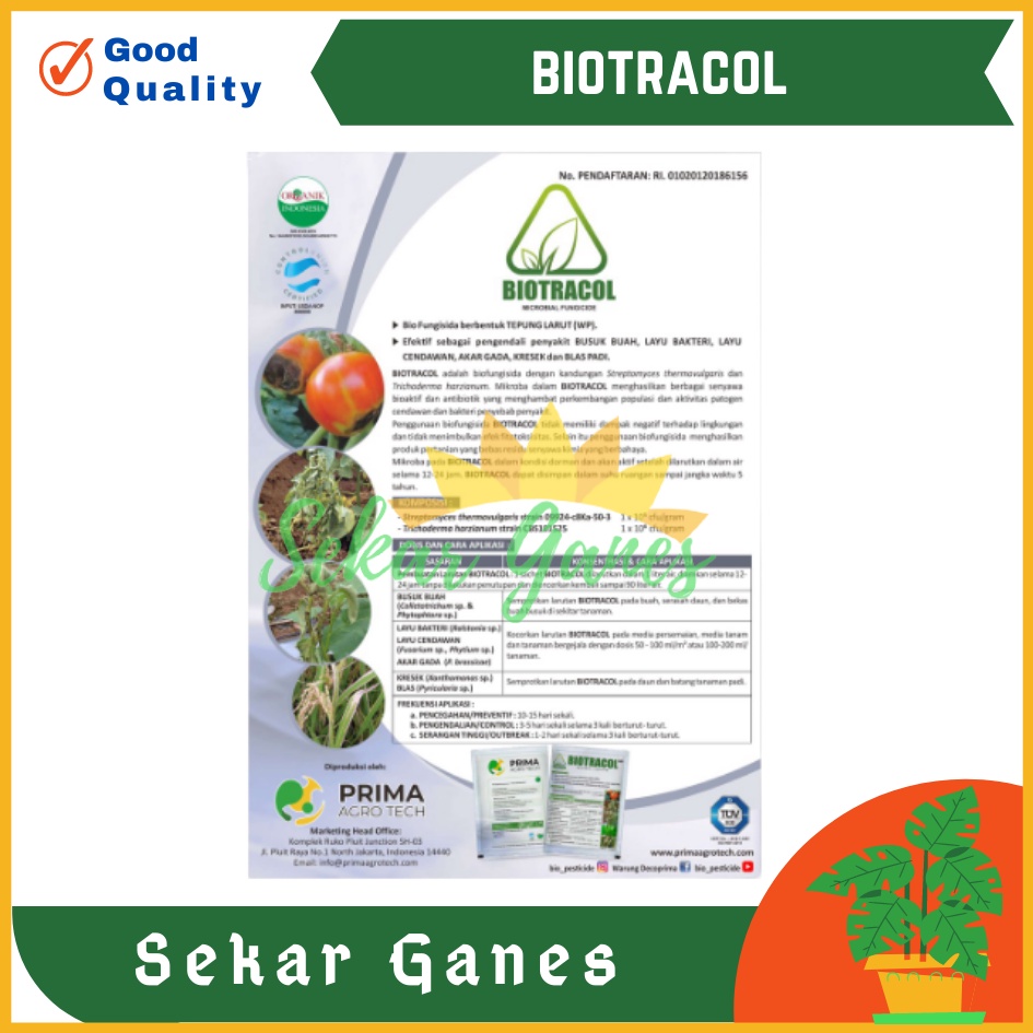 Biotracol Biofungisida Pestisida Organik - Pengendali Busuk Buah Biotracol Pupuk Mencegah Penyakit