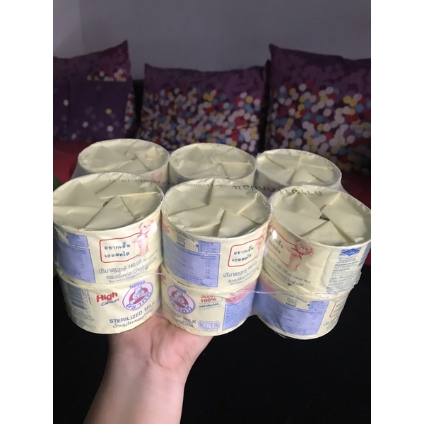 

Susu Beruang