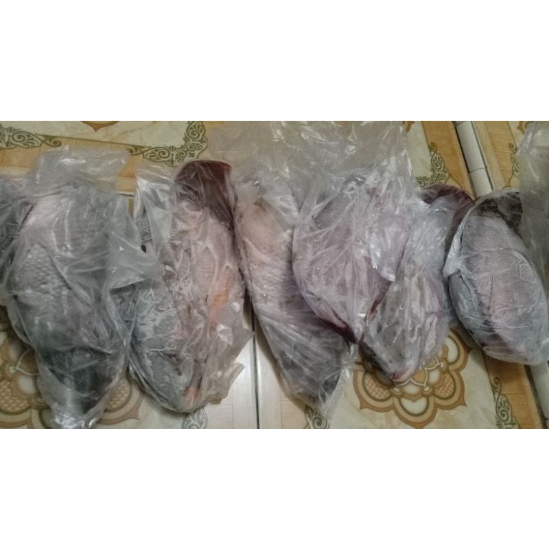

IkanGuramefrozenUkuran7ons