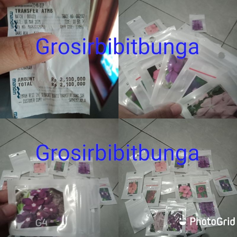 Jual Benih Bunga Vinca Gantung Dan Vinca Tegak Mix