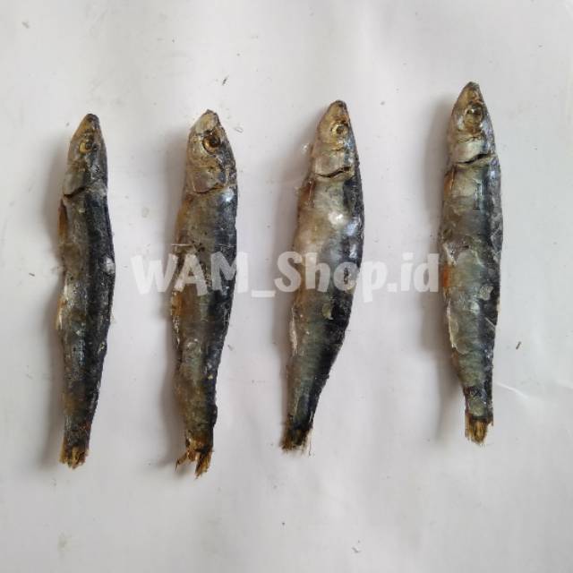 

Ikan asin anak tembang, lemet, teri batu kemasan 100gram