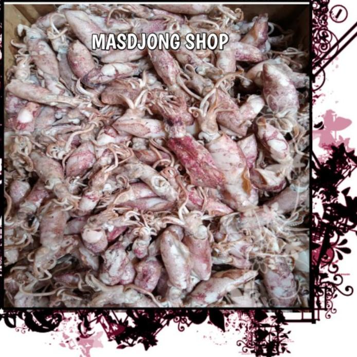 

Kekinian CUMI ASIN TELOR REBUS SIZE BESAR 5 - 9cm(250gr). !!