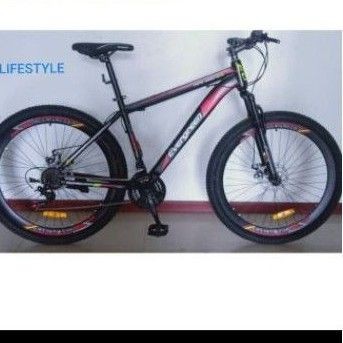 Sepeda Gunung EVERGREEN 26" MTB R575