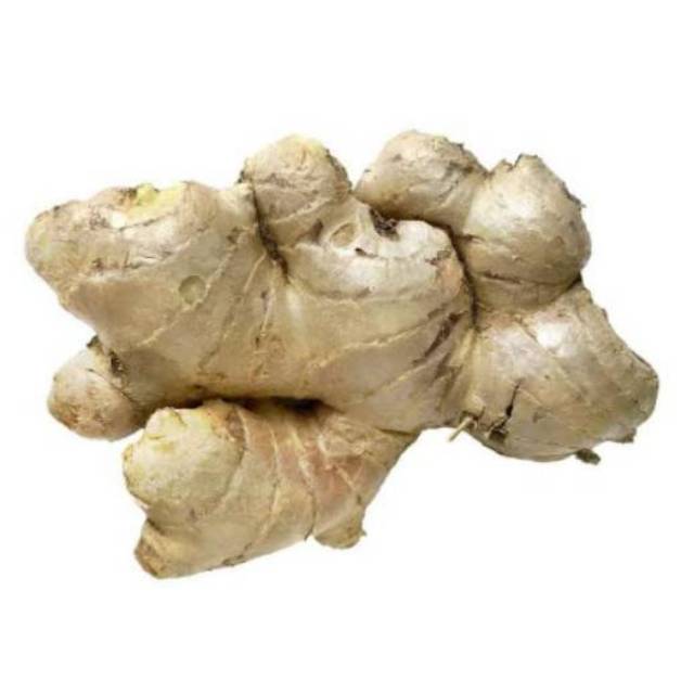 Jahe Putih / Jahe Gajah / Ginger 500 gram | Shopee Indonesia
