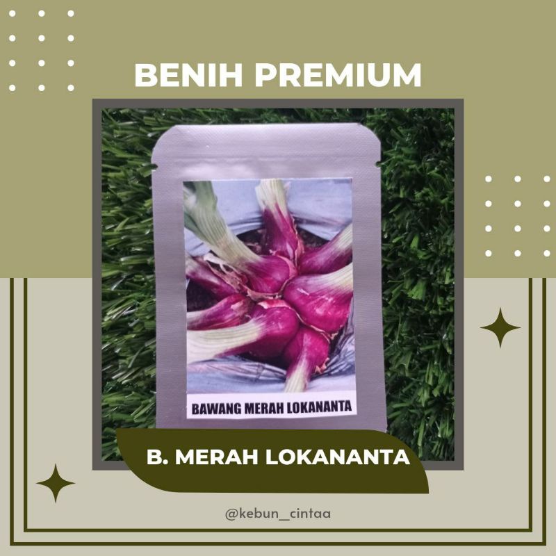 Benih PREMIUM Bawang Merah Lokananta