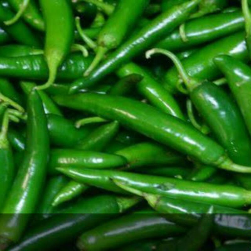 

Cabe / Cabai Hijau Besar Segar 500gram