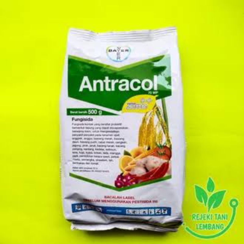 Antracol 500gr