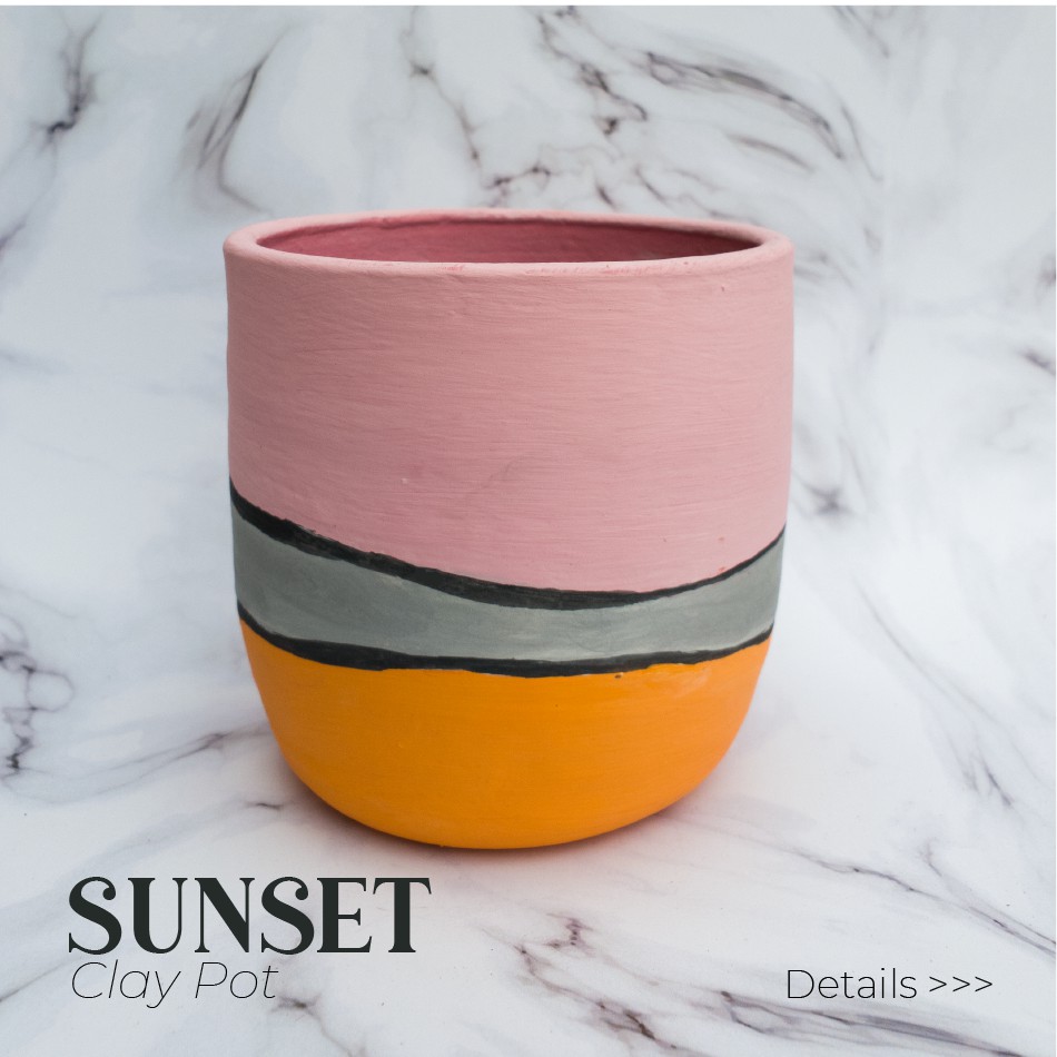 SUNSET CLAY POT [ pot gerabah ]