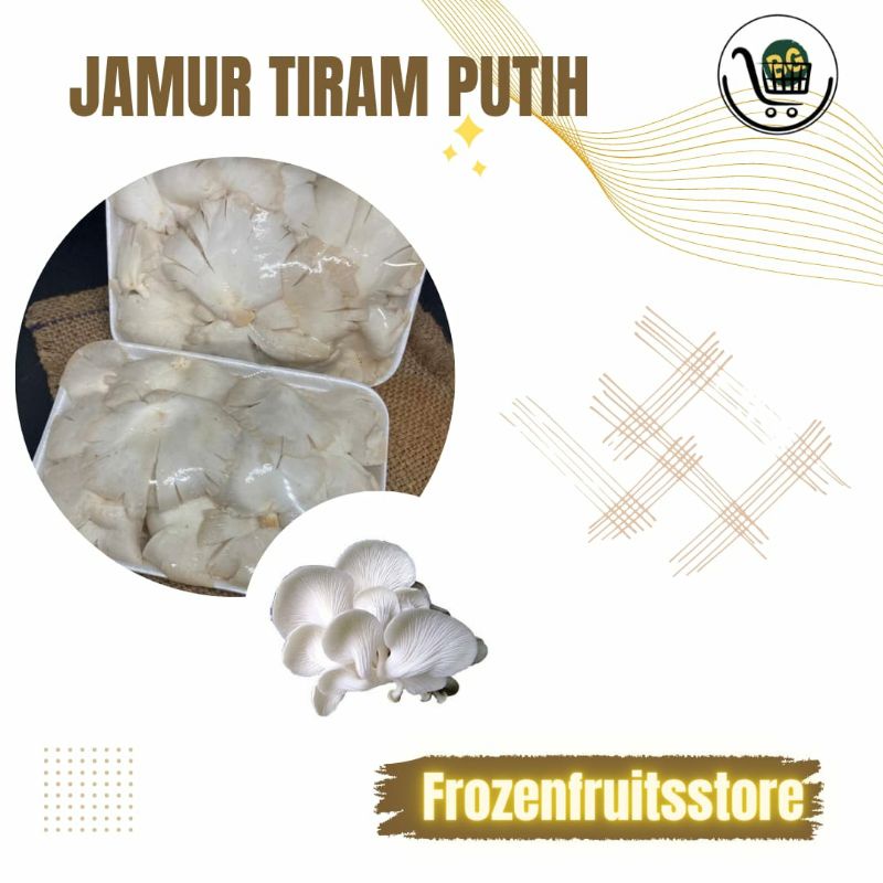 

Jamur tiram, jamur tiram putih, jamur tiram putih segar fresh, murah grosir