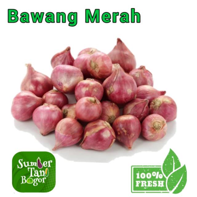 

BAWANG MERAH PER 500 KILOGRAM