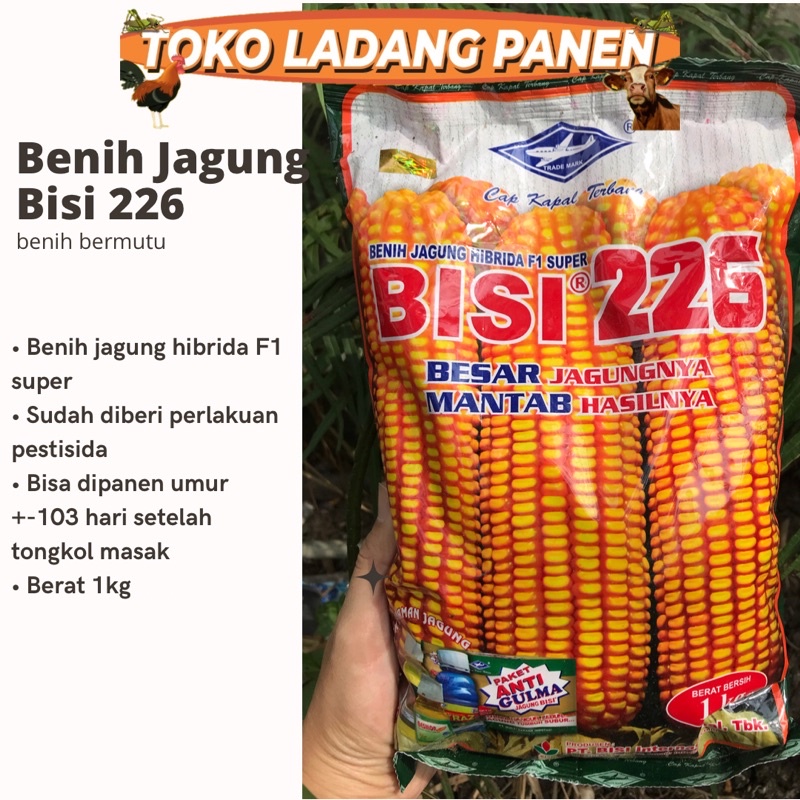 BENIH JAGUNG CAP KAPAL TERBANG BISI 226