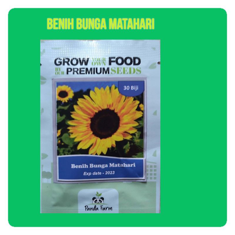 Jual Benih Bunga Matahari Isi 30 Biji | Bibit Bunga | Shopee Indonesia