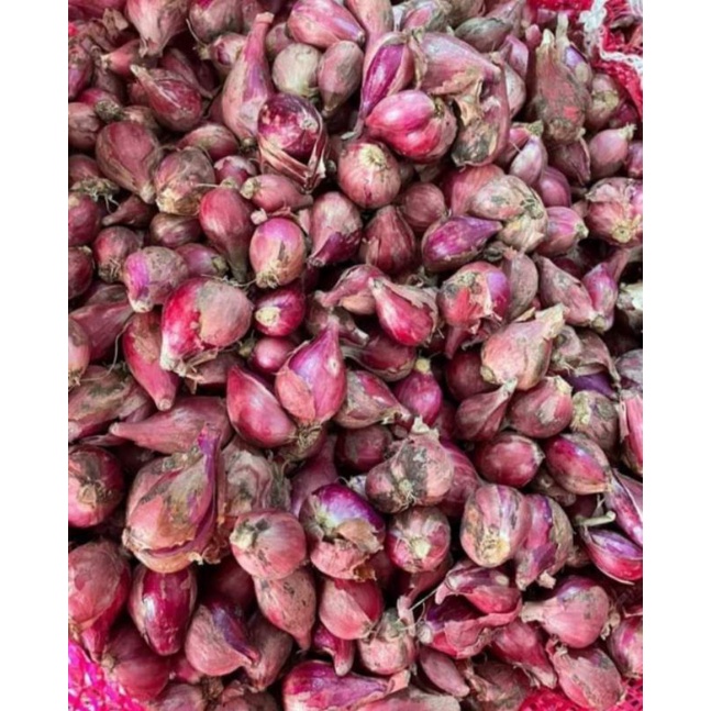 

bawang merah Brebes 1 kg