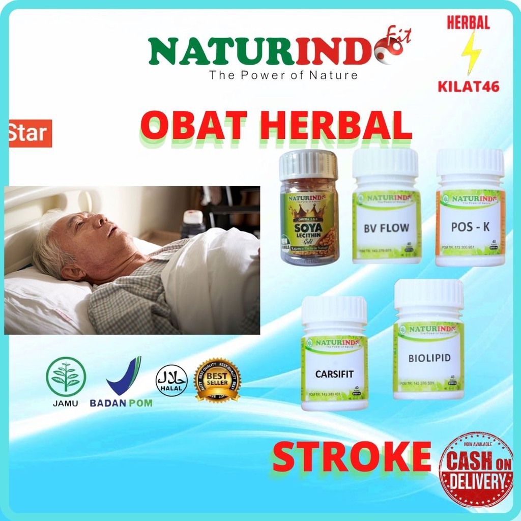 

obat herbal stroke penyumbatan darah paket sehat alami aman tanpa efek samping solusinya naturindo