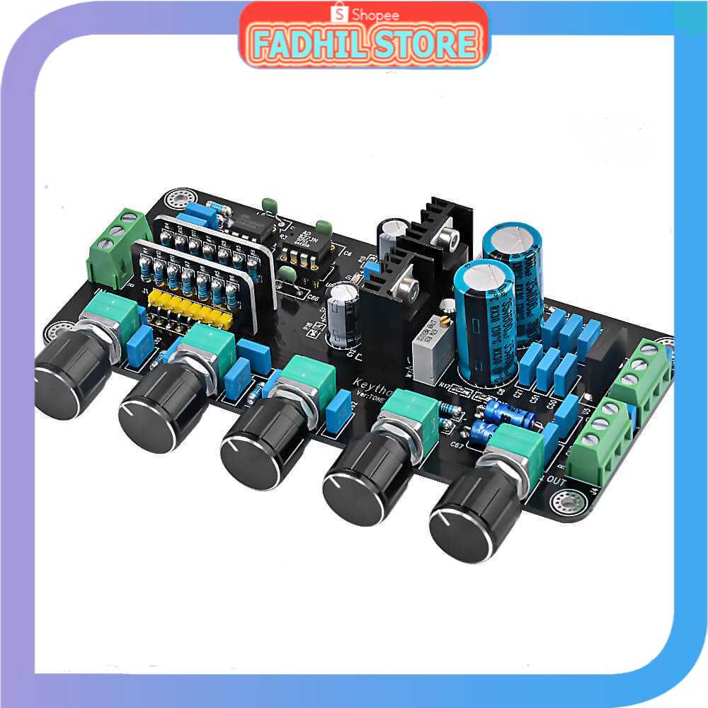 AIYIMA DIY Amplifier Board - B2D039