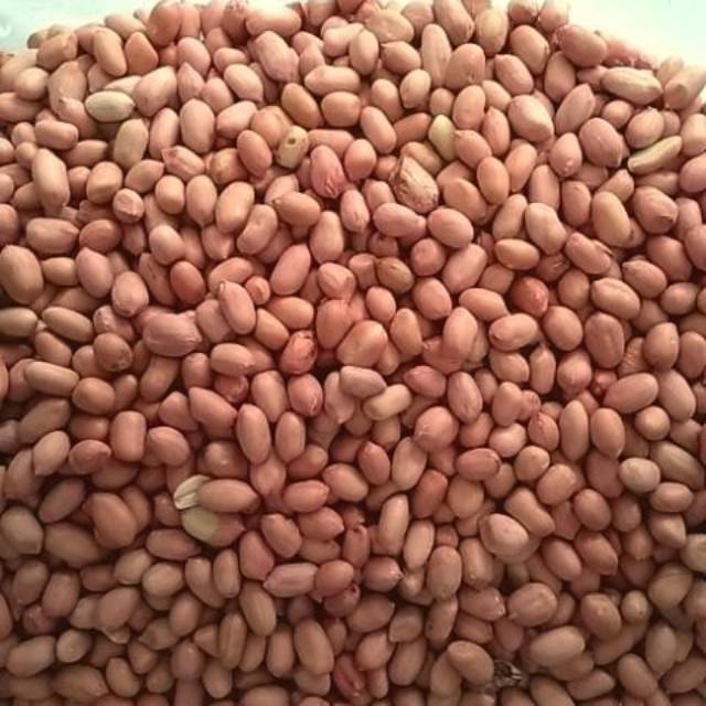 

Kacang tanah tuban 250g