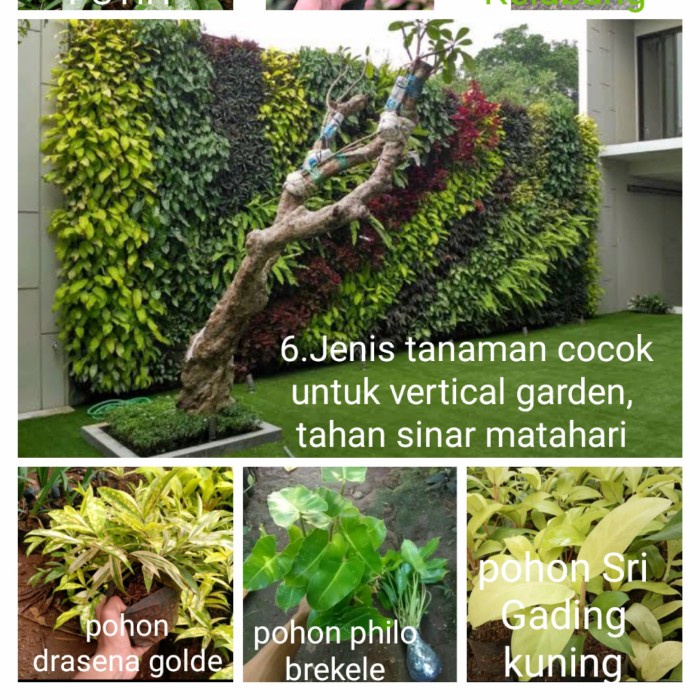 Tanaman vertical garden indoor
