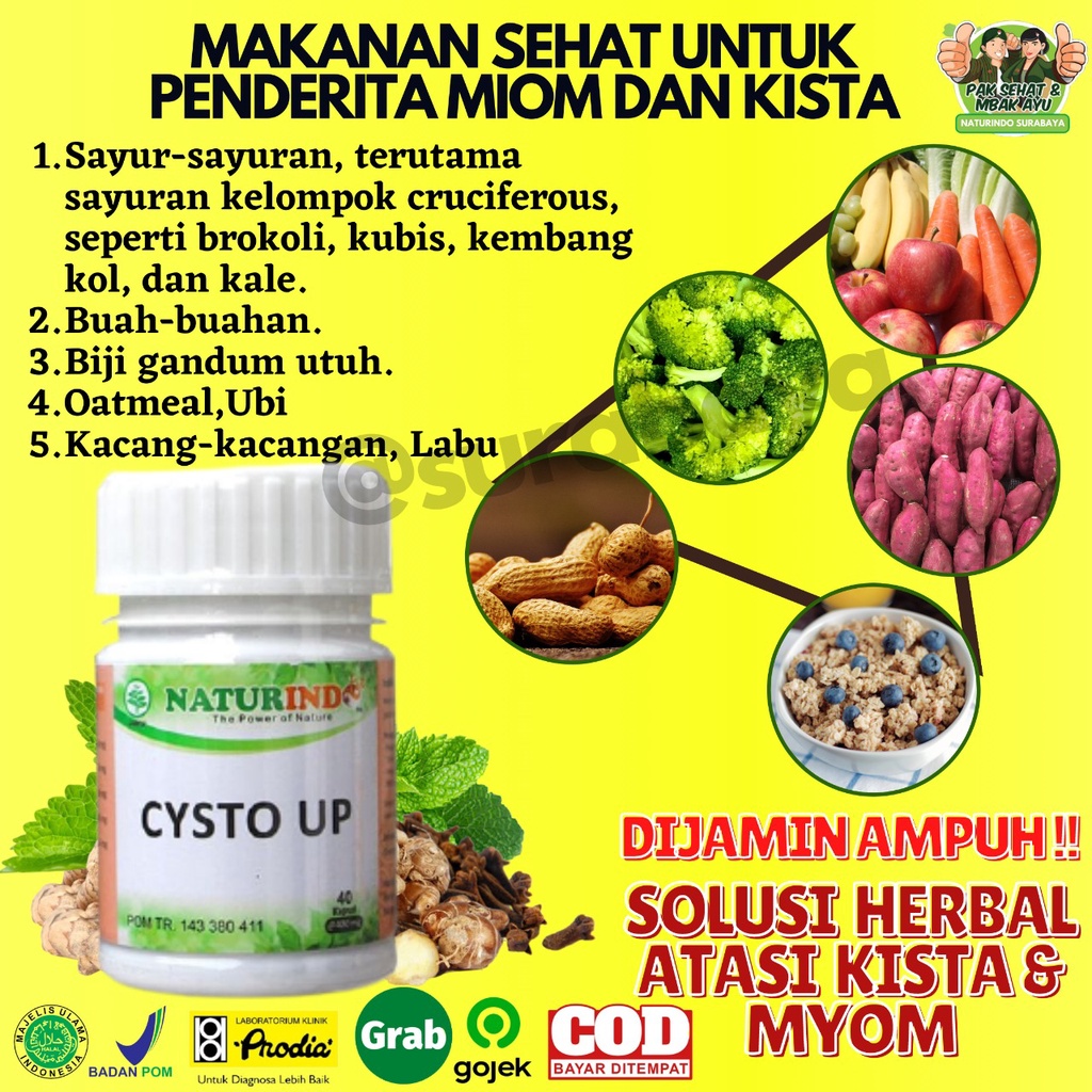 Obat Kista dan Miom Ovarium Obat Herbal Kista Bartholin Obat Penyakit Rahim Obat Cista Cysta Obat Miom Myom Coklat Obat Kista Endometriosis Ampuh Jamu Herbal Kista Miom Tumor Mioma Ampuh BPOM HALAL MUI CYSTO UP Naturindo Surabaya 40 Kapsul-6