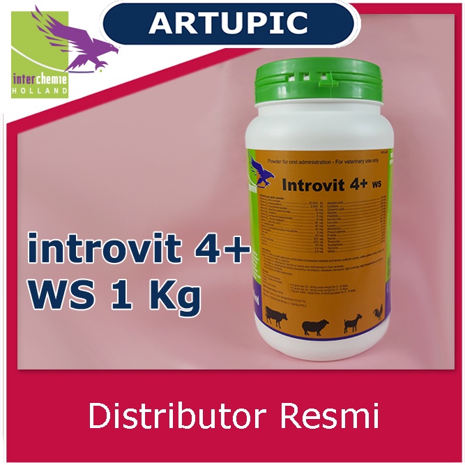 introvit 4+ WS 1 kg mempercepat pertumbuhan penambah berat badan meningkatkan produksi telur daya tahan tubuh mengatasi stres stamina kualitas daging telur susu pindah kandang stres cuaca Sapi Kambing Babi Ayam Domba