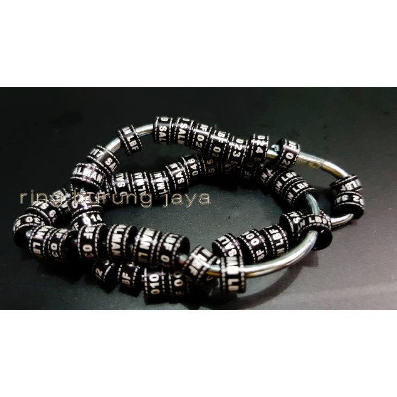 ring burung laser list khusus burung puter minimal 25