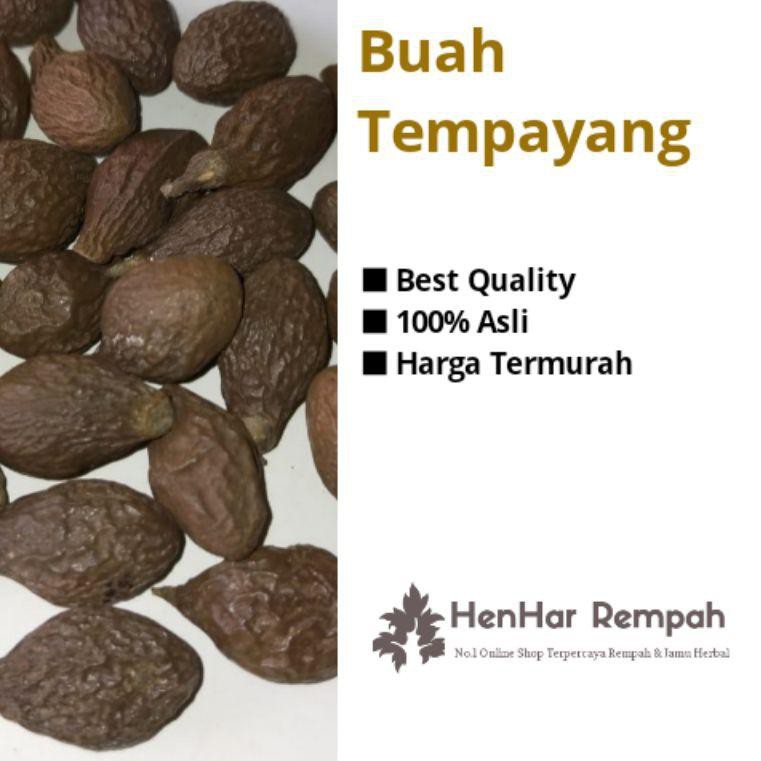 

P.2.Q.0.0.4Buah Tempayang / Buah kembang semangkok / Beng ta hai 100 gram |S!Ap.ord3rs