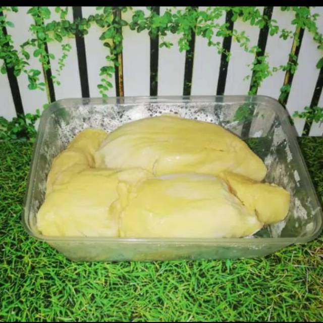 

Duren Montong