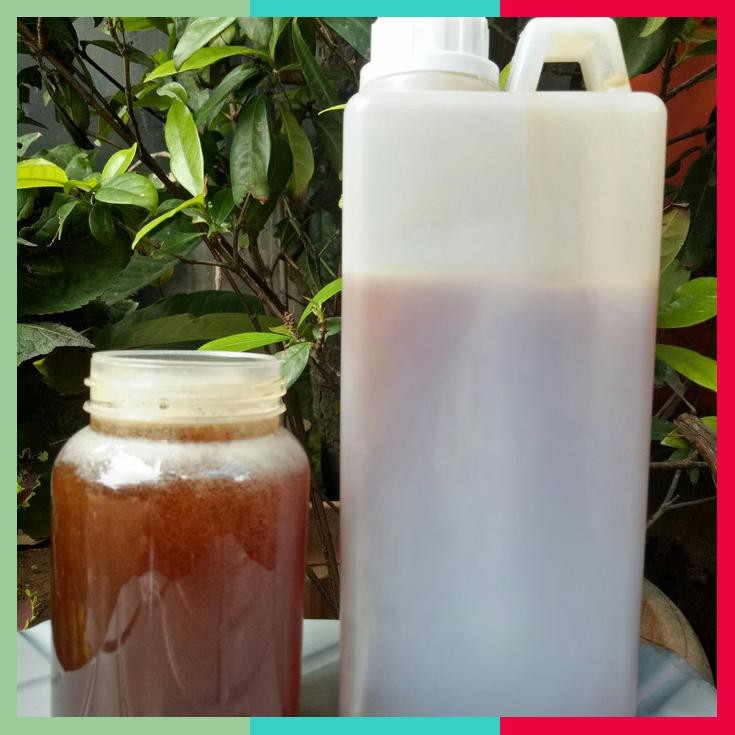 

Madu Hutan Sumatra Sialang 1Kg Murni