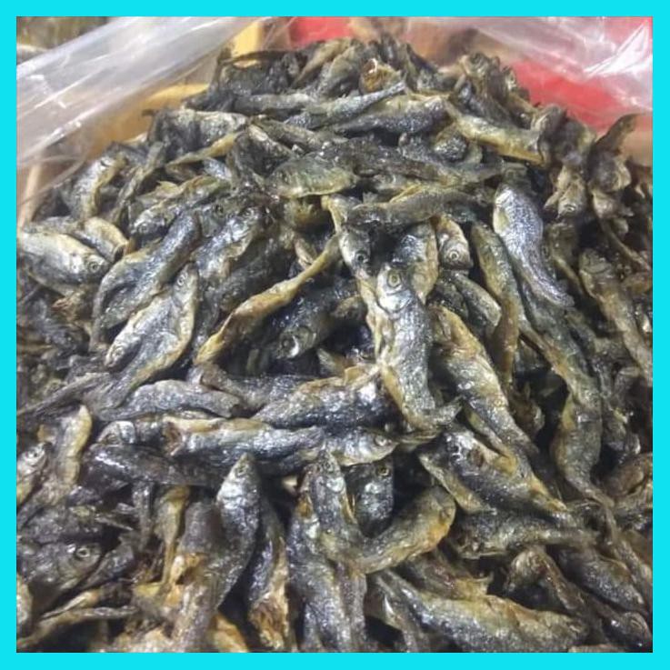 

IKAN DANAU BILIS/BILIH TAWAR PADANG