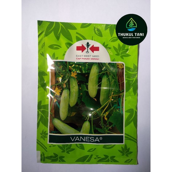 BENIH TIMUN LALAP VANESA- Cap Panah Merah 20gram