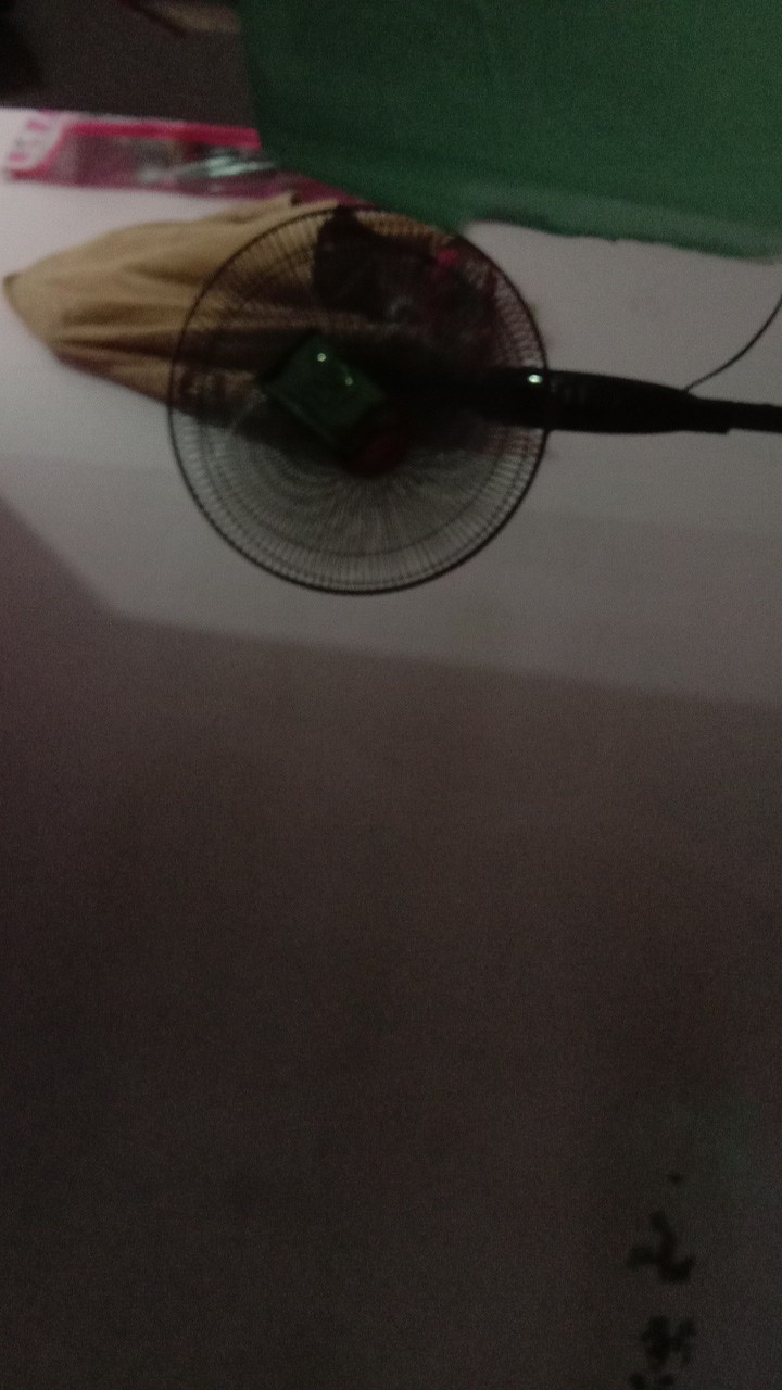 Stella All In One 42 Gram