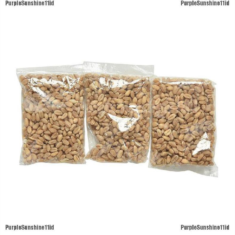 SGGREEN BIBIT TANAMAN CATNIP KRISTAL CATNIP KUCING T4B