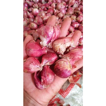 

Bawang merah Brebes super cros harga murah 1kg