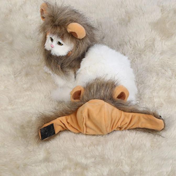 Hot Item Wig Kucing & Anjing Topi Singa - Baju Rambut Lion - Aksesoris Hewan