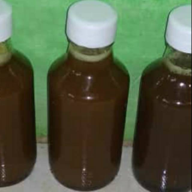 

Madu klanceng/trigona
