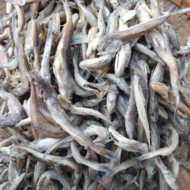 

Ikan asin kacangan / bluso 1kg