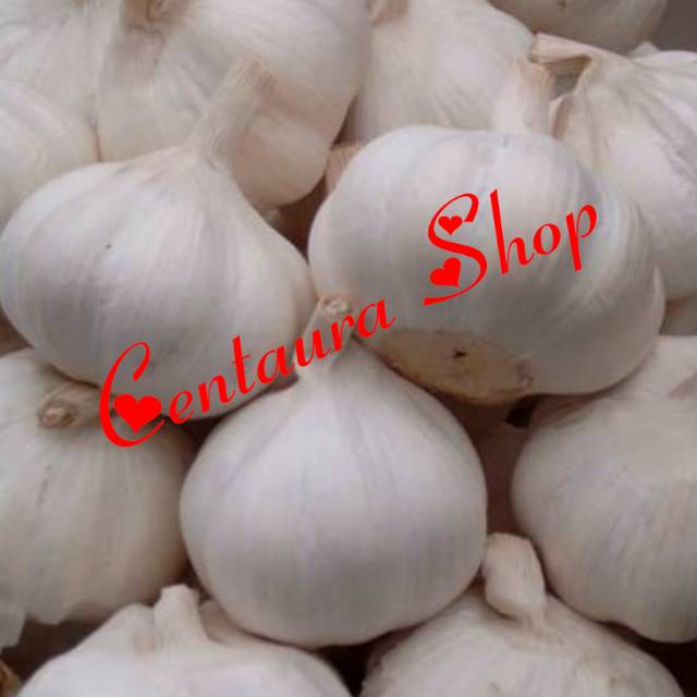 

Bawang putih Tua kwalitas Super unggul 1000kg