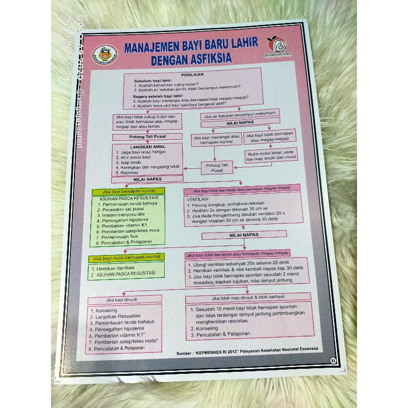 

(31) POSTER MANAJEMEN BAYI BARU LAHIR DGN ASFIKSIA