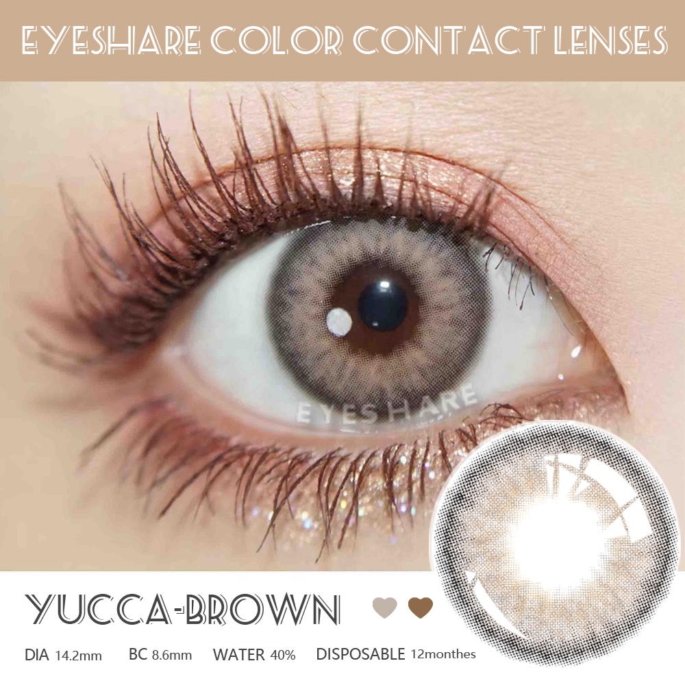 SOFTLENS EYESHARE NEW NORMAL / KPOP BIG EYES 14.2MM 2PCS BIG EYE YUCCA GRAY BROWN