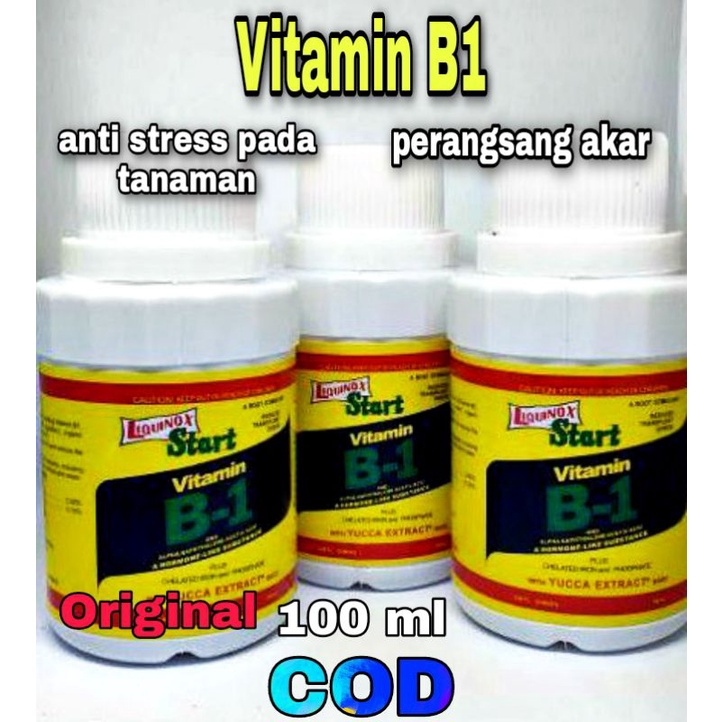 ampuh! vitamin B 1 tanaman Liquinox start | pupuk perangsang akar anti stress 100 ml