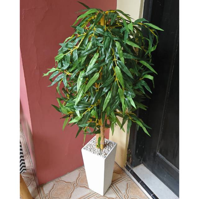 Pohon bambu pot kayu