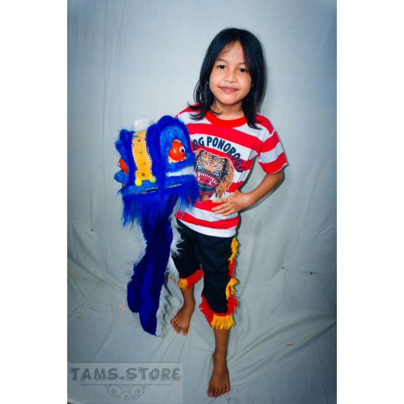 stelan baju reog dan pala barongsai
