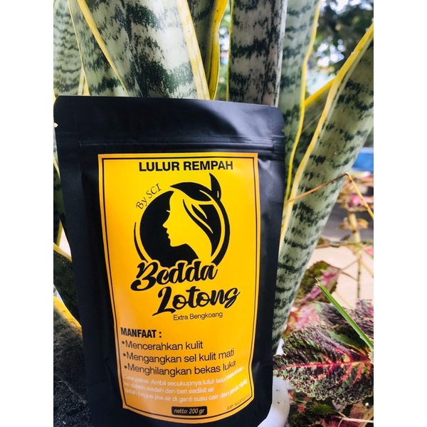 bedda lotong by SCi (lulur rempah)