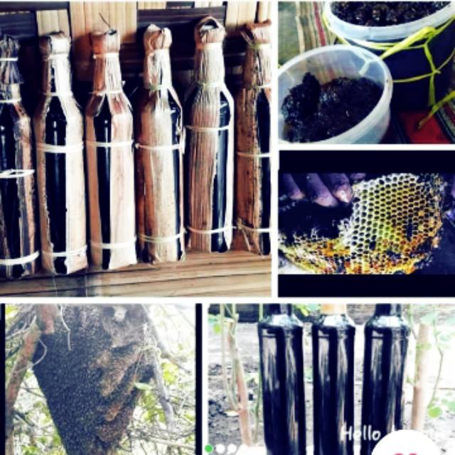 

Madu Hitam (pahit) Hutan Baduy