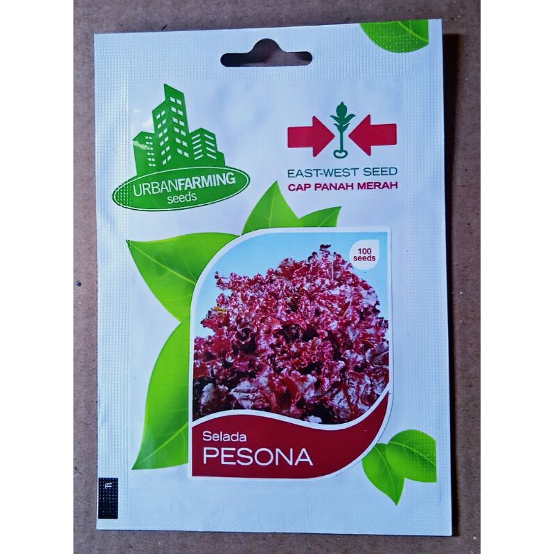 BENIH SELADA PESONA PANAH MERAH